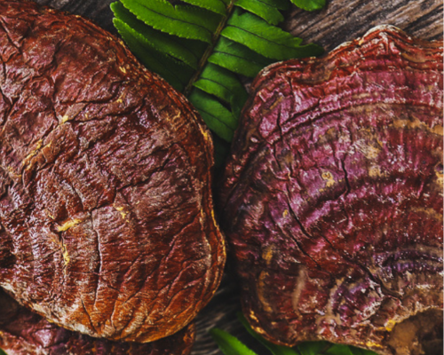 Boost your Mood with Reishi Mushrooms - No Ordinary Moments Nutrition