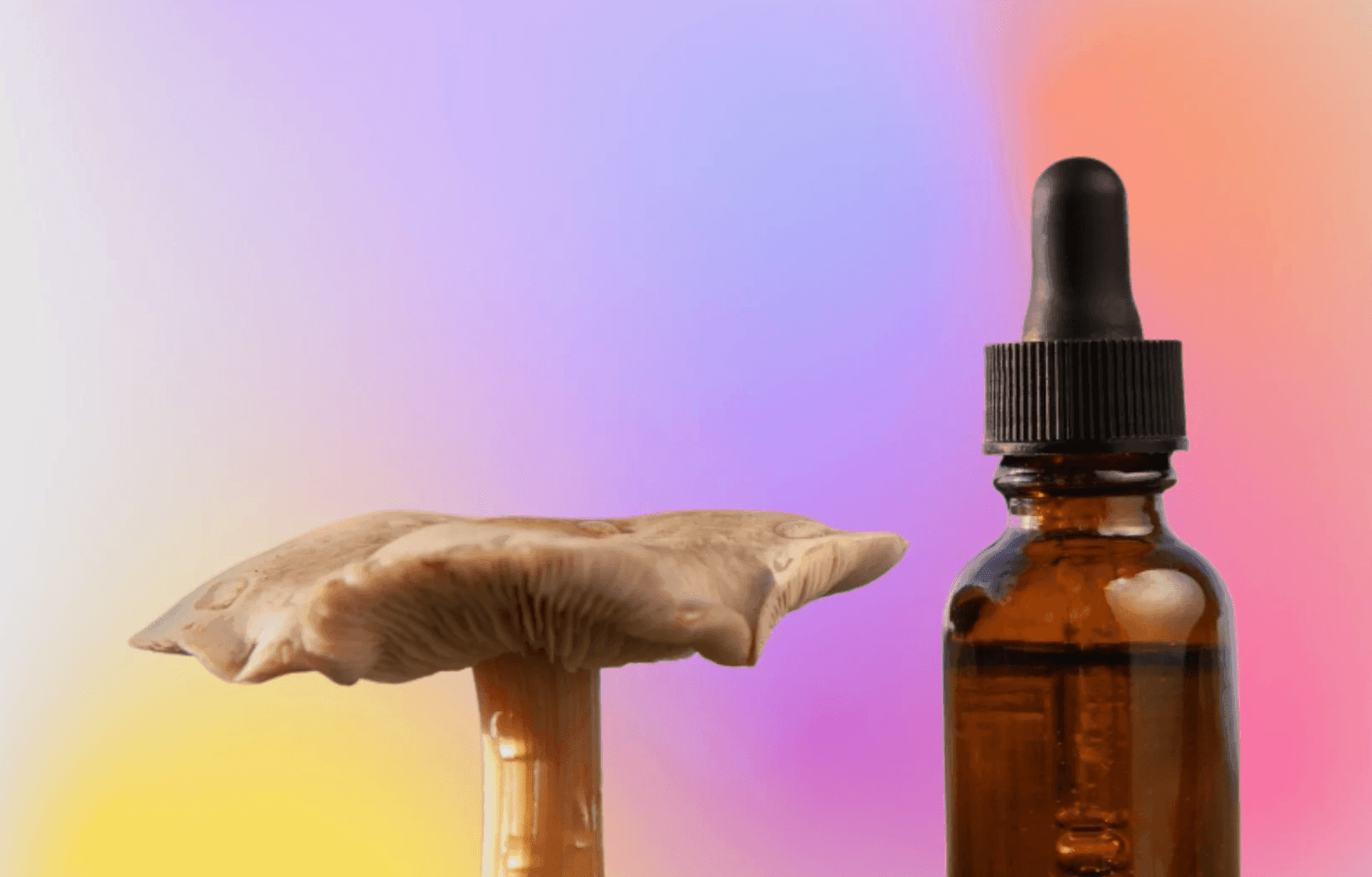 flat mushroom next to a blank tincture bottle on a multicoloured background