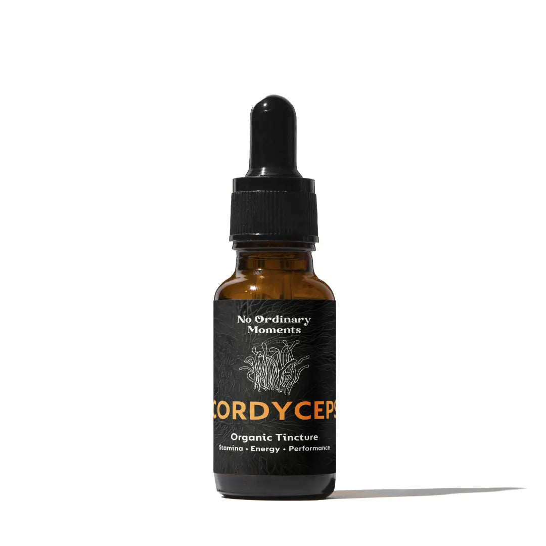 Mushroom Tinctures