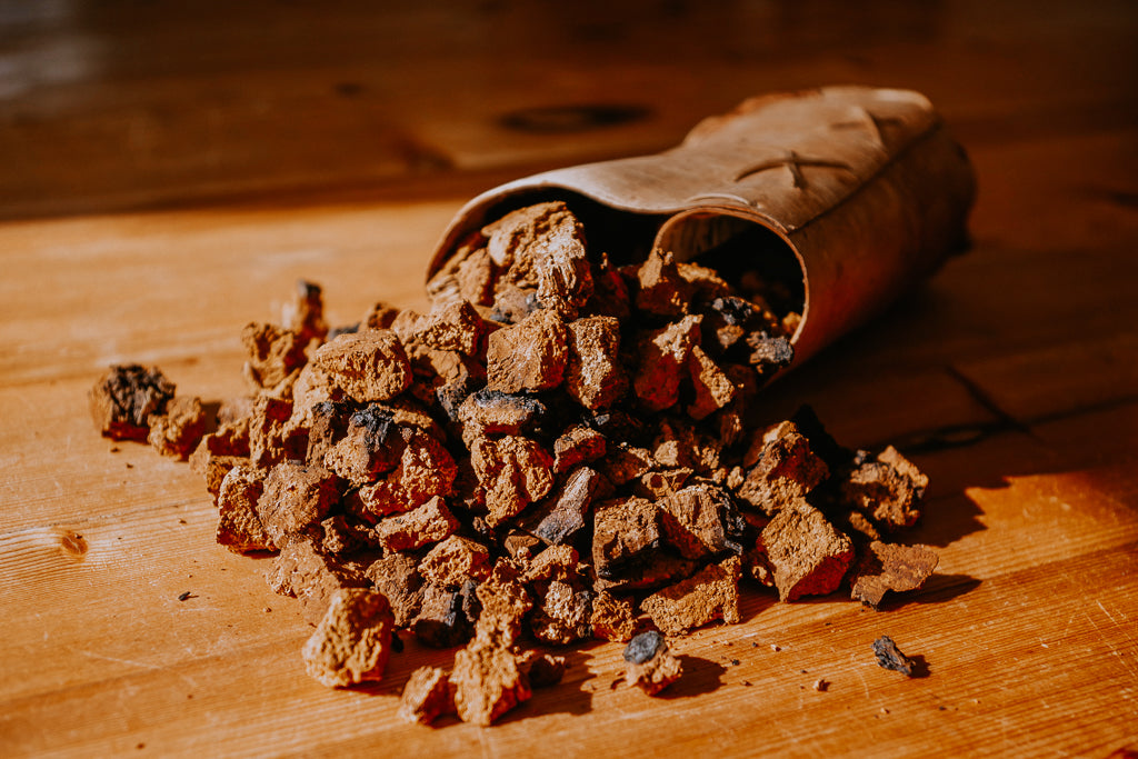 Chaga chunks on a table