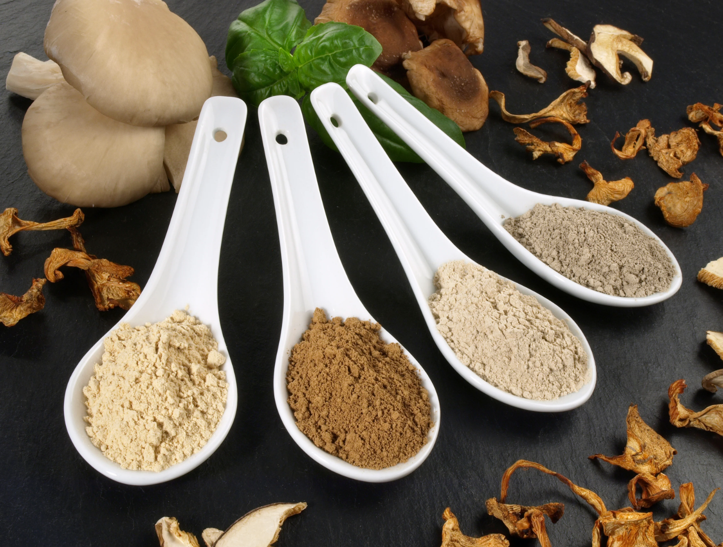 mushroom powder 