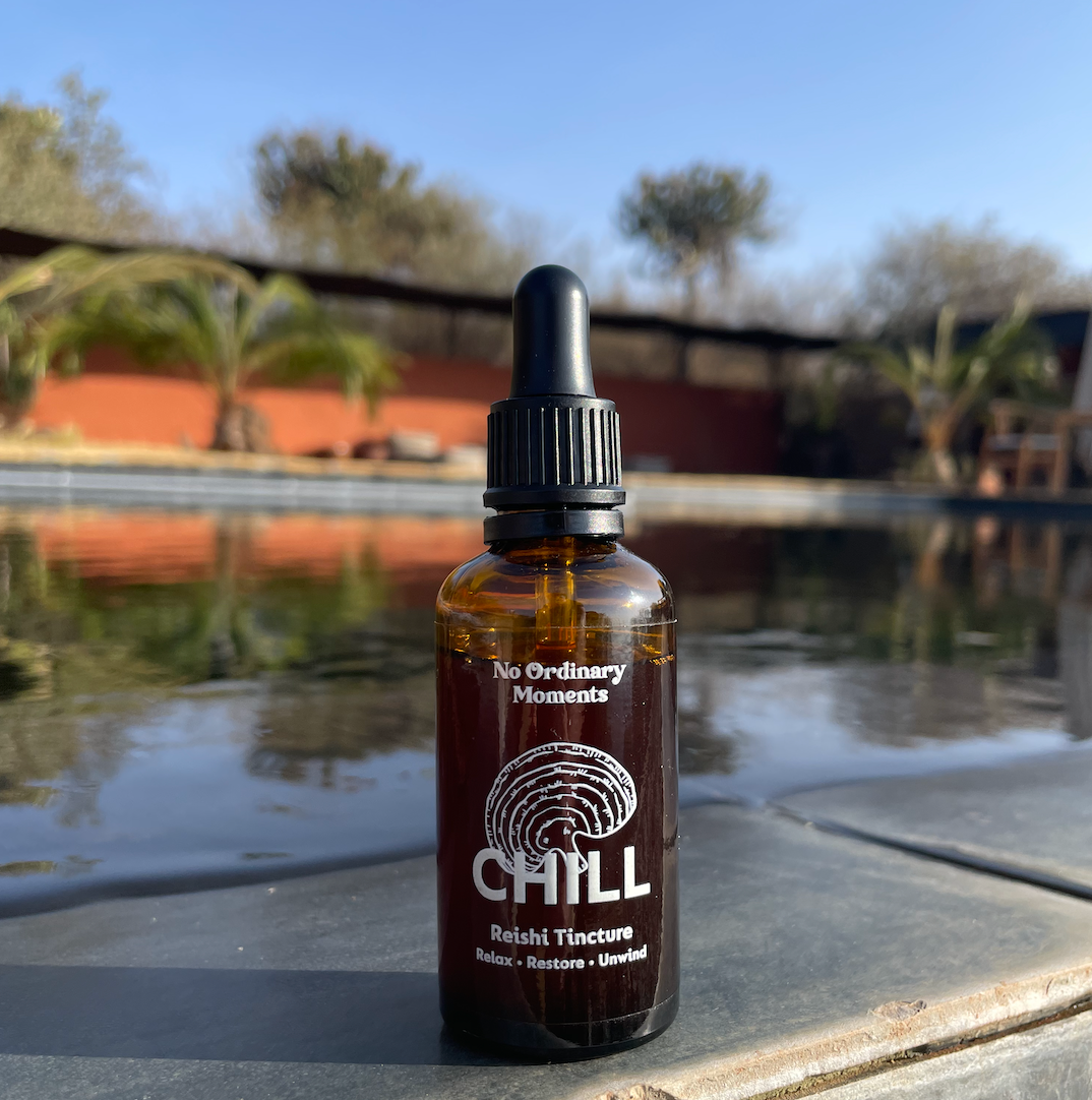 Reishi mushroom tincture infront of pool 