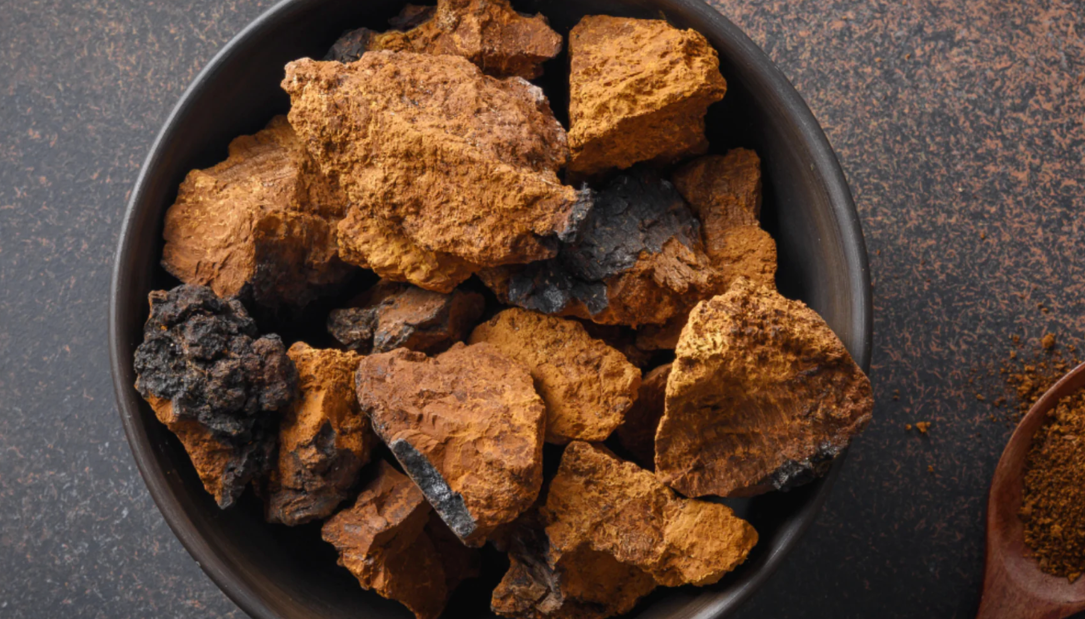 Chaga mushrooms in a bowl