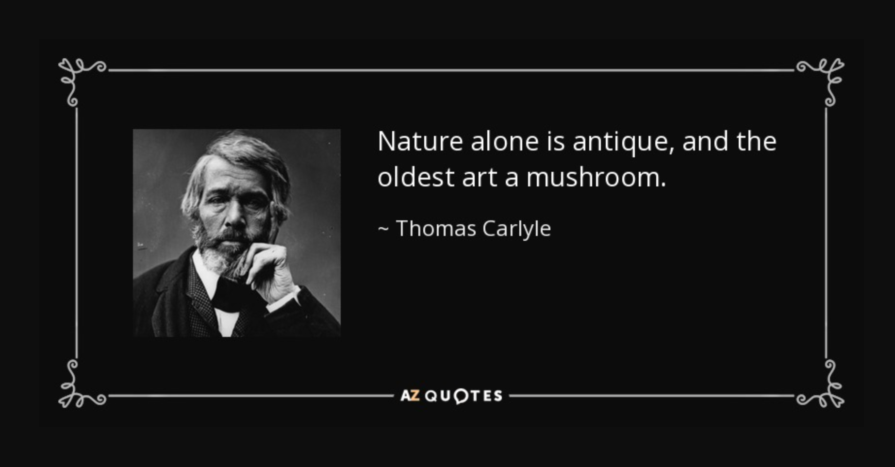 Top 25 Inspiring Quotes on Mushrooms and Mushroom Coffee