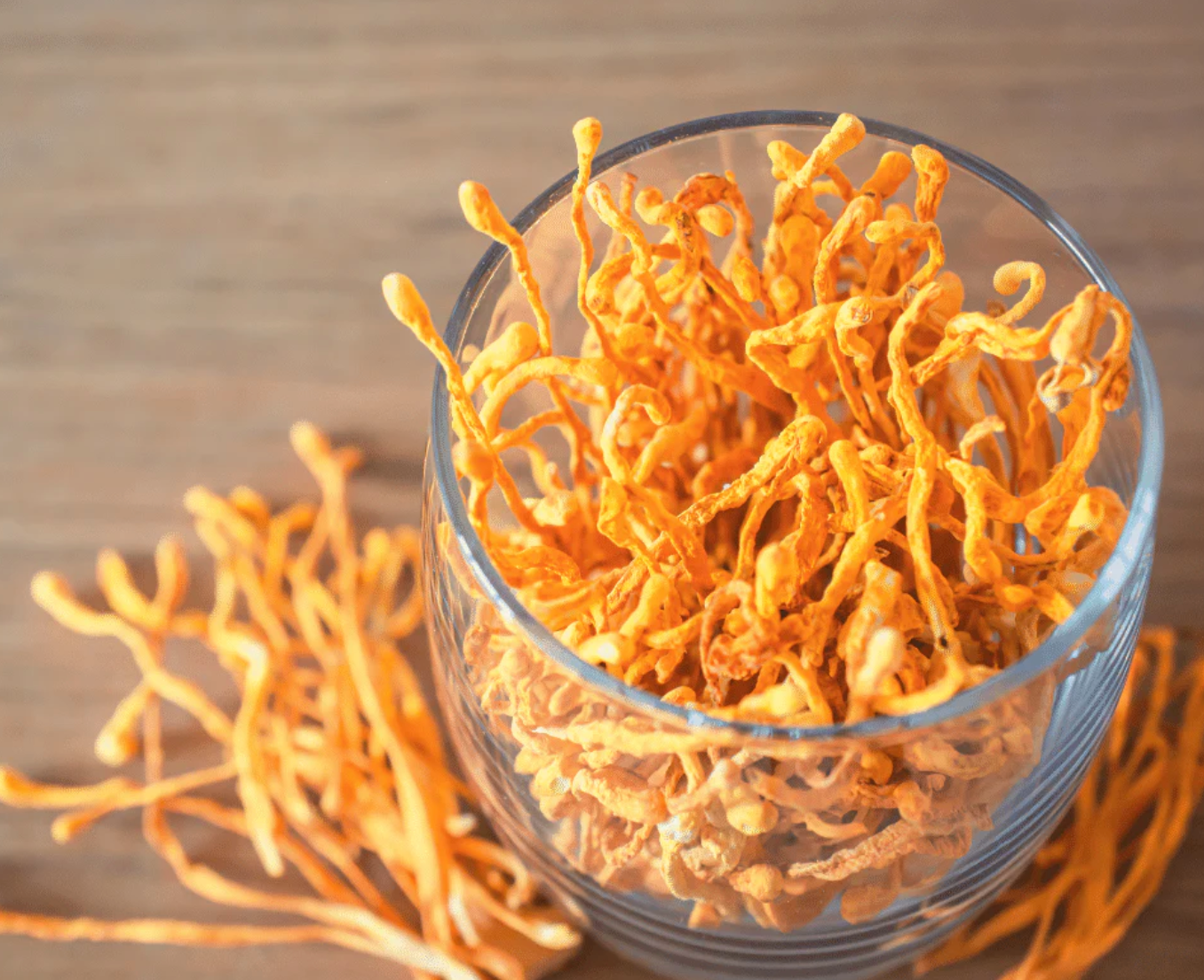 Cordyceps Mushrooms: Nature's Performance Booster?