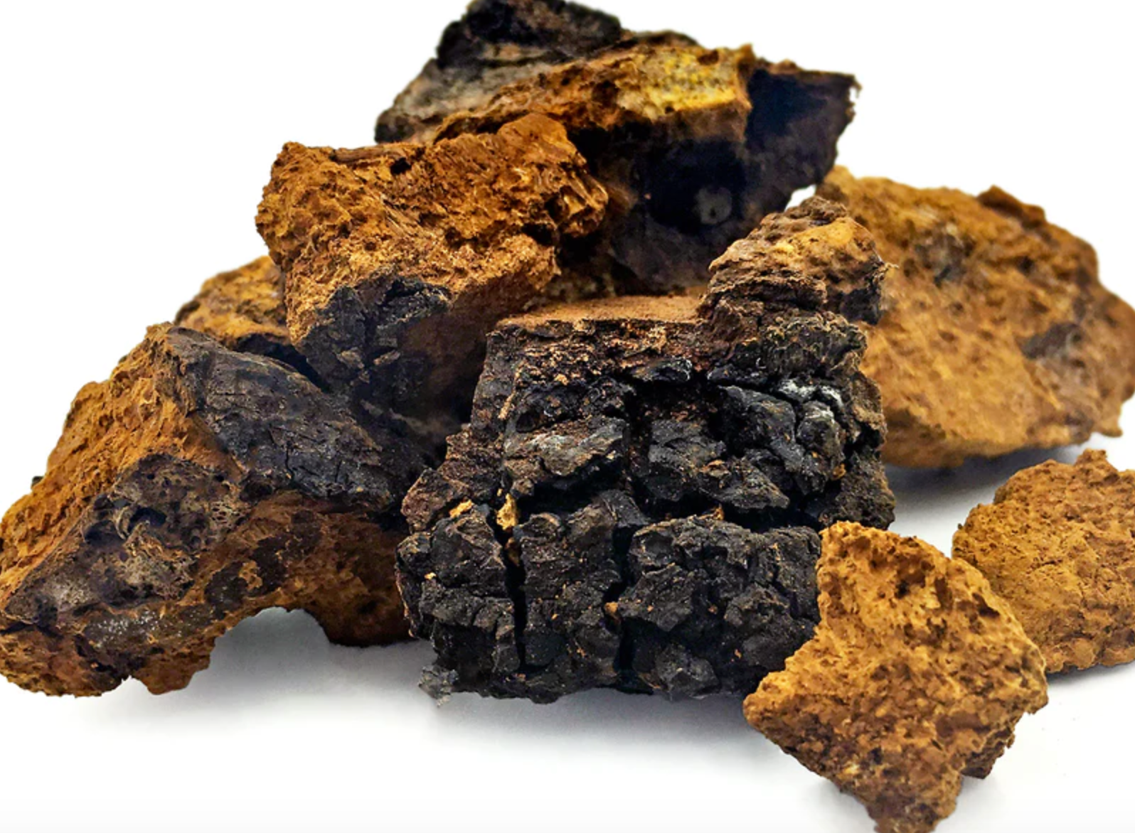 Exploring Chaga: The Superfood Mushroom You Need to Know