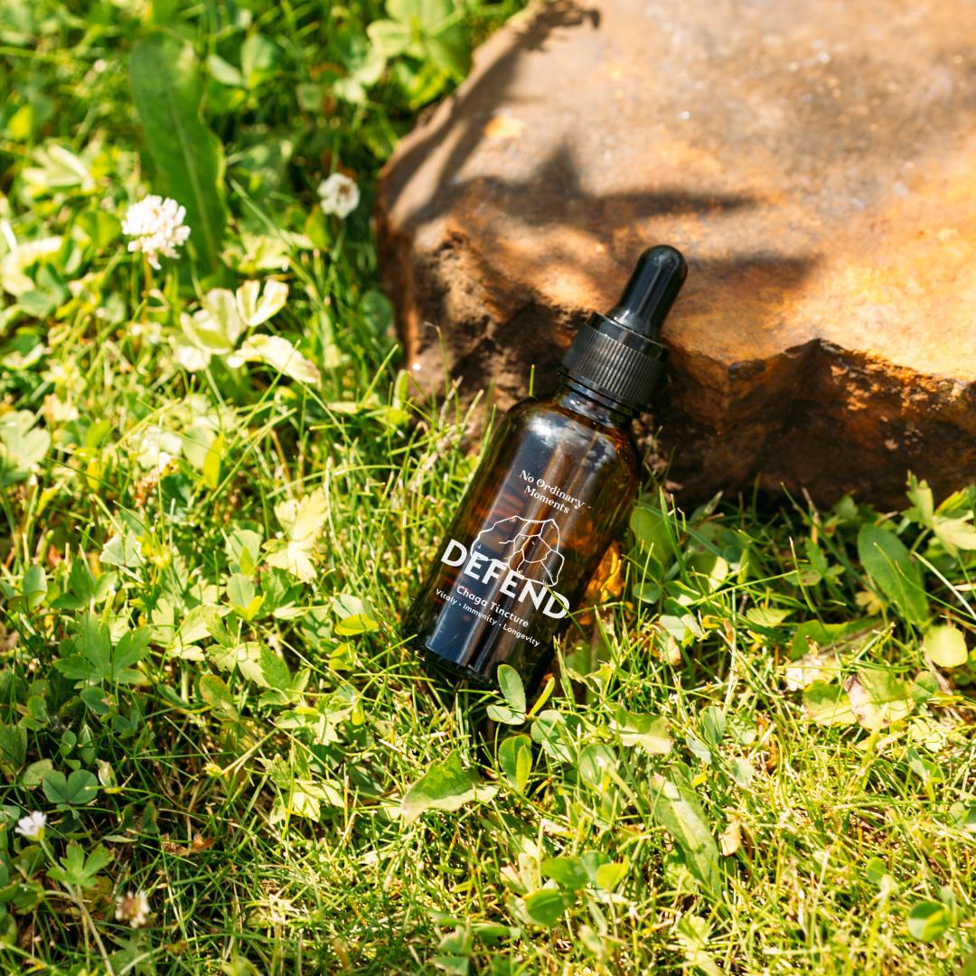 Defend mushroom tincture laying on grass