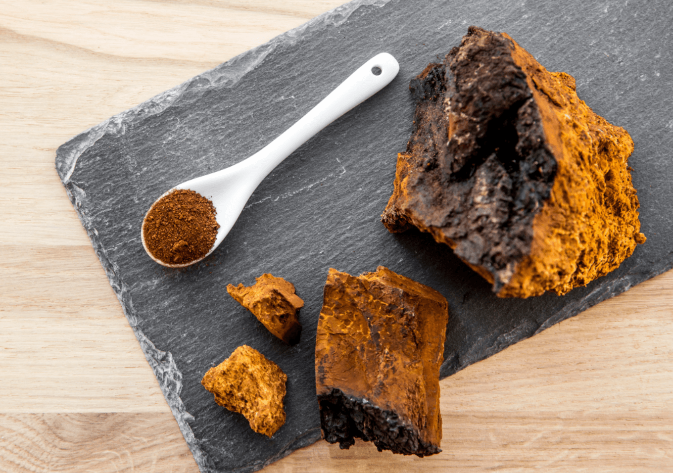 7 Benefits of Chaga Mushrooms - No Ordinary Moments